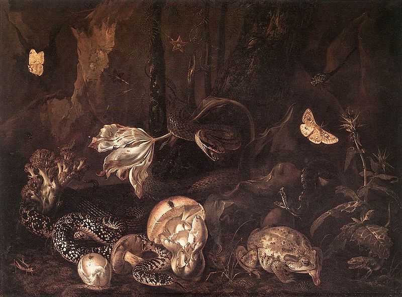 File:Otto Marseus van Schrieck - Still-Life with Insects and Amphibians - WGA21062.jpg