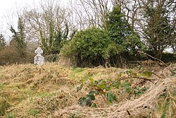 Überwachsene Kirchenruine in Kilmaglish