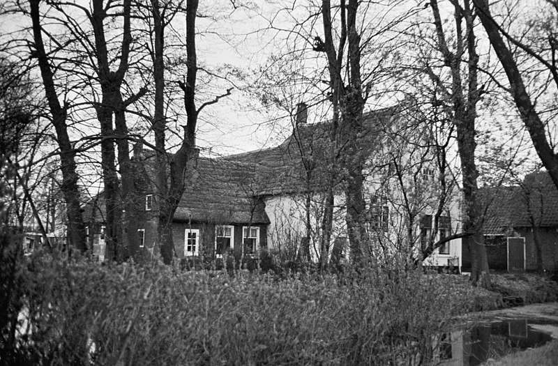 File:Overzicht boerderij - Voorschoten - 20403881 - RCE.jpg