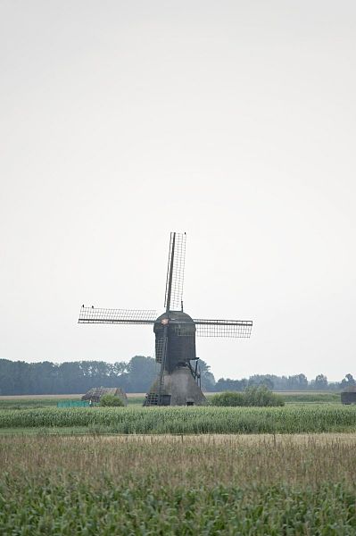 File:Overzicht van de molen - Almkerk - 20428986 - RCE.jpg