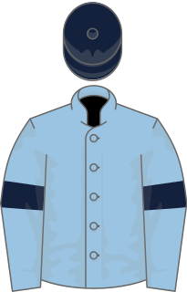 Telescope (horse) Irish-bred Thoroughbred racehorse