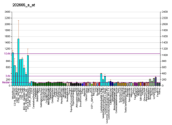 PBB GE WIPF1 202665 s в формате fs.png