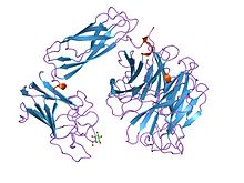 PDB 1euu EBI.jpg