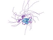 PDB 1ufg EBI.jpg