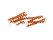 PDB 2gdc EBI.png