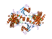 2ig7: Crystal structure of Human Choline Kinase B