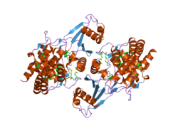 PDB 2ig7 EBI.png