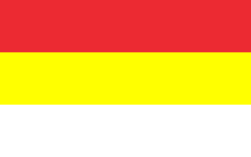 POL Gogolin flag.svg