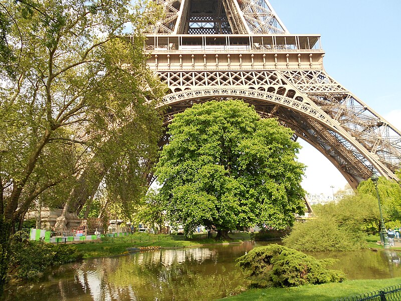 File:Paris 75007 Champ-de-Mars - lac 2013-05-07.jpg