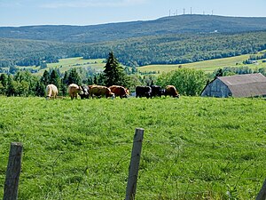 Beauce (Québec)