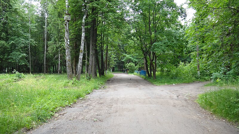 File:Petrovka, Aleksin, Tulskaya oblast', Russia - panoramio (19).jpg