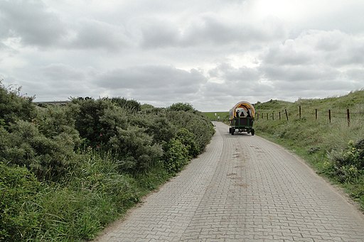 Pferdetaxi auf der Flugplatzstraße - panoramio