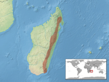 Phelsuma quadriocellata distribution.png