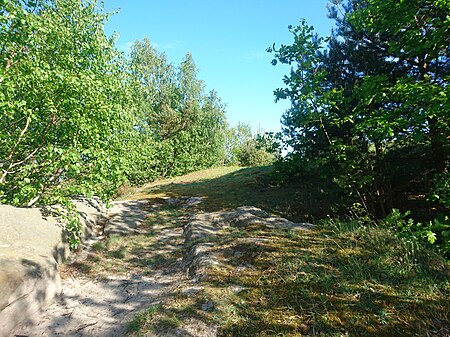 Plateau der abgegangenen Kuxburg