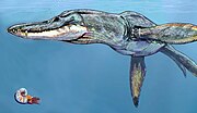 Miniatura per Pliosaurus