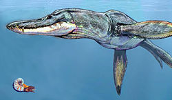 Pliosaurus rossicus.jpg