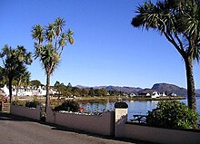 The mild climate permits cultivation of palm-like cabbage trees Plockton, Wester Ross.jpg