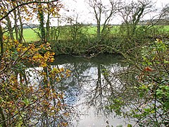 Pond south-east of Park Farm, Stow Bardolph - geograph.org.uk - 2172552.jpg