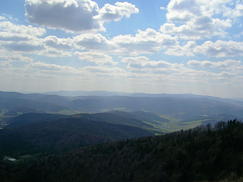 File:Popradzki Park Krajobrazowy – idok z Jaworzyny Krynickiej 02.jpg