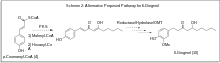 Alternative proposed pathway Proposed Gingerol Biosynthesis Alt. Pathway.svg