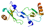 Miniatuur voor CC chemokine ligand 2