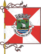 Flagge von Peso da Régua