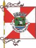 Bandera de Peso da Régua