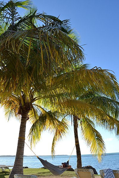 File:Río Grande, 00745, Puerto Rico - panoramio.jpg