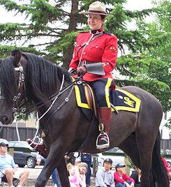 Bir at üzerinde RCMP memuru.JPG