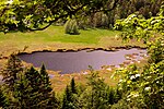 Vignette pour Réserve naturelle nationale de la tourbière de Machais