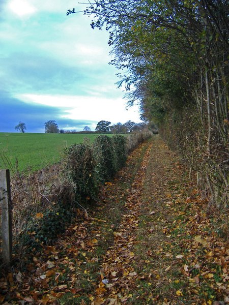 File:Raywell bridleway - geograph.org.uk - 609476.jpg