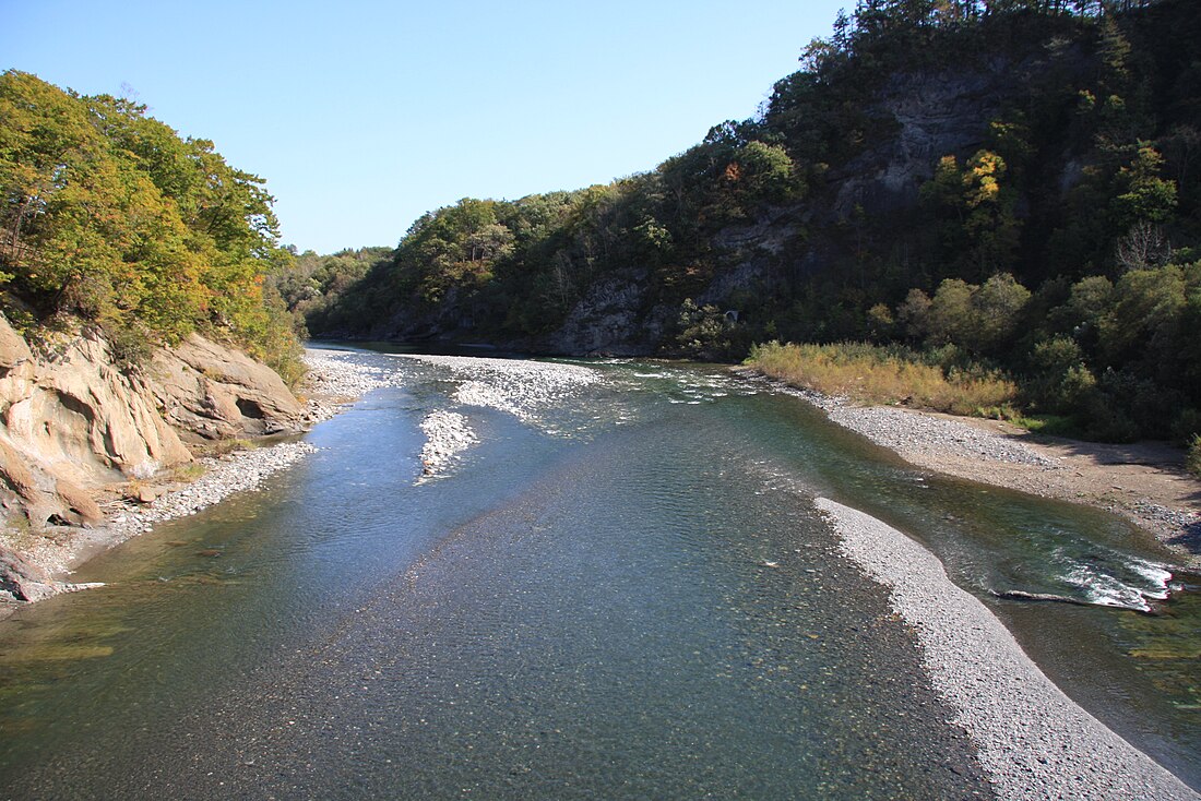 大樹町