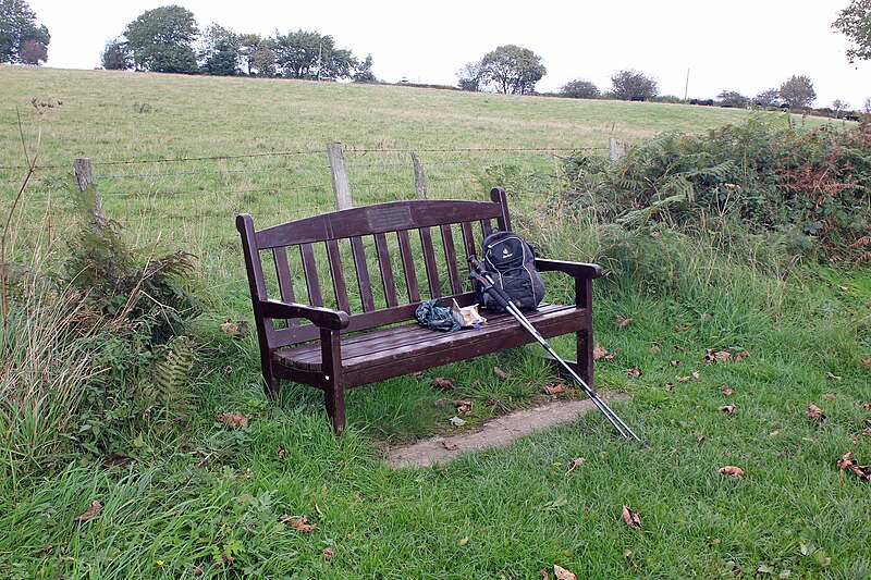 File:Remote commemorative seat near Cilcain - geograph.org.uk - 5590885.jpg