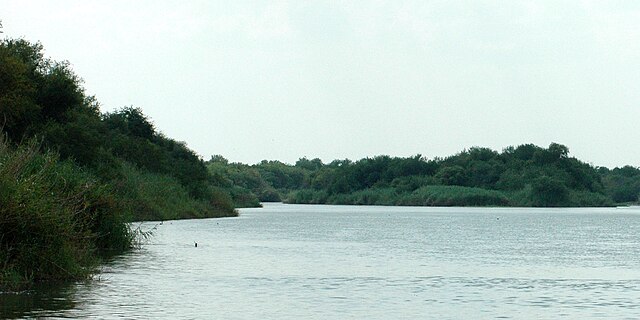 Rio Grande c. 4.8 kilometres (3 mi) southeast of Falcon Reservoir, Municipality of Mier, Tamaulipas, Mexico (August 2007)