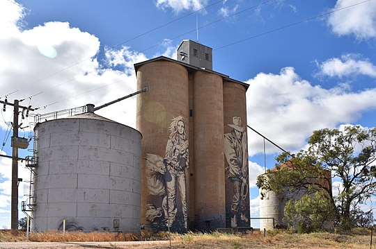 Silo выход