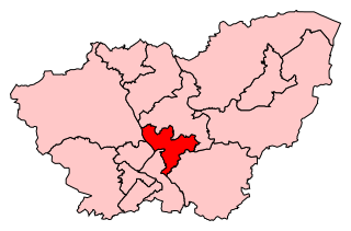 <span class="mw-page-title-main">Rotherham (UK Parliament constituency)</span> Parliamentary constituency in the United Kingdom
