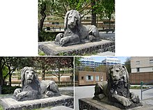 De drie leeuwen in 2007