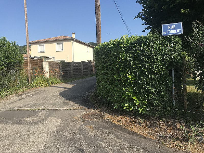 File:Rue du Torrent (Saint-Maurice-de-Beynost) et panneau.JPG