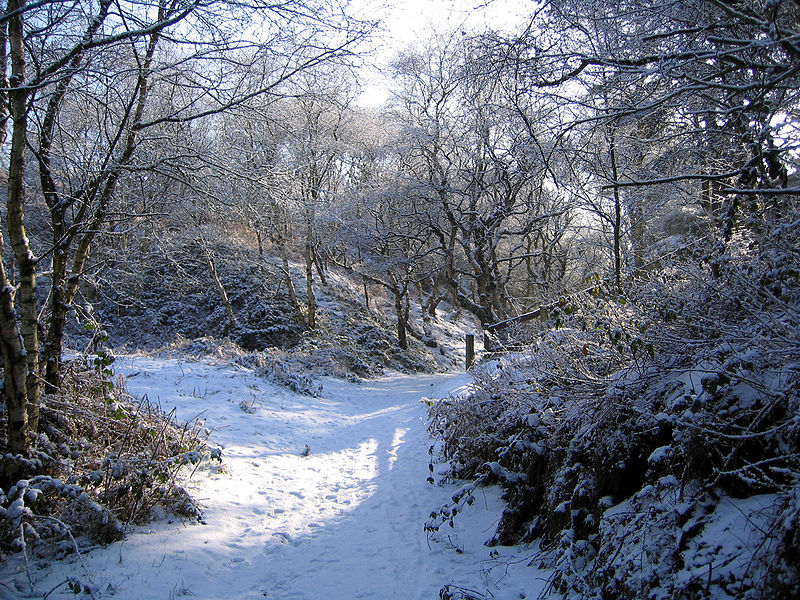 File:Runcorn Hill 2.jpg