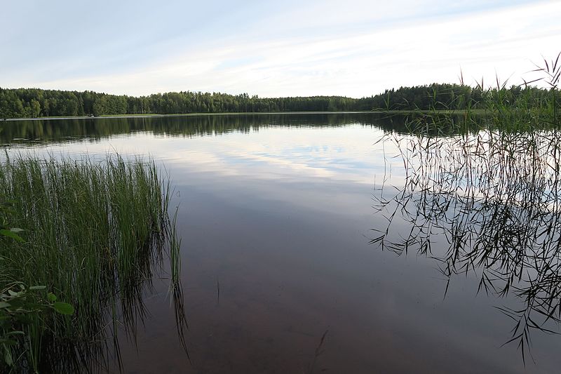 File:Säräjärveä pohjoisesta.jpg