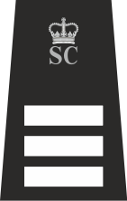File:SCI with Crown.svg