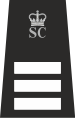 Crown.svg көмегімен SCI