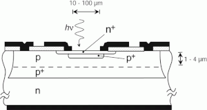 SPAD Cross-section.gif