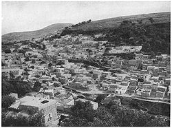 Safed1908.jpg