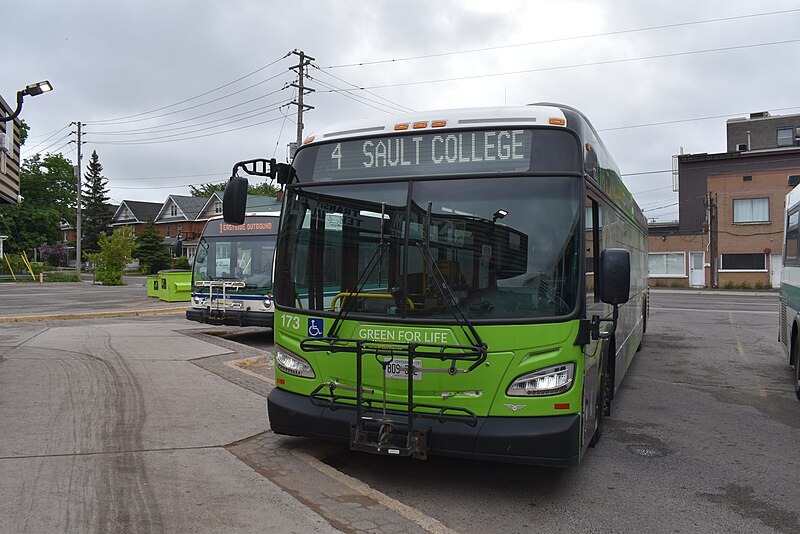 File:Sault Ste. Marie Transit Services buses.jpg