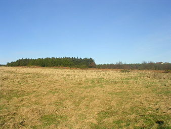 View across the moor ScotstownMoor2.jpg