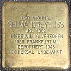 Stolperstein für Selma Dreyfuss