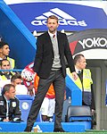 Pienoiskuva sivulle Tim Sherwood