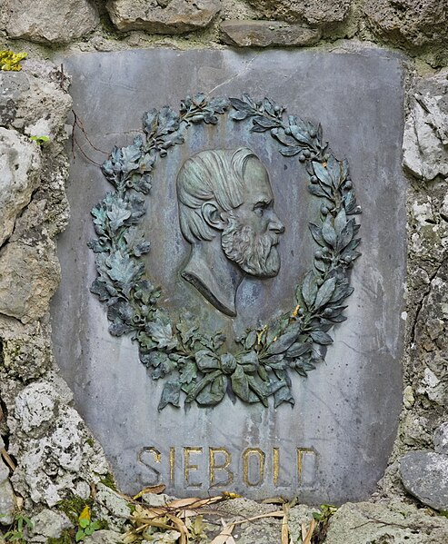 File:Siebold memorial at Schönbrunn Palace in Vienna, Austria-portrait PNr°1029.jpg