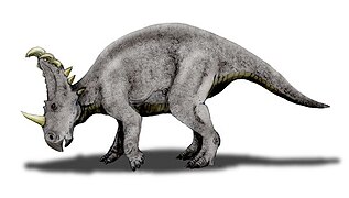 Sinoceratops